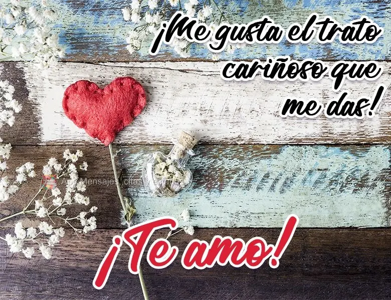 ¡Me gusta el trato cariñoso que me das! ¡Te amo!