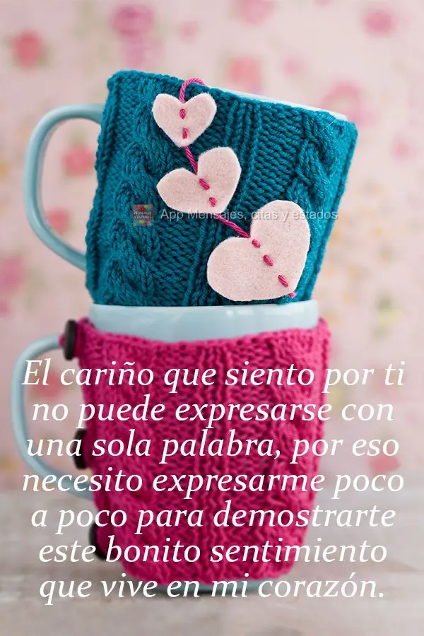 El cariño que siento por ti no puede expresarse con una sola palabra, por eso necesito expresarme poco a poco para demostrarte este bonito sentimiento q...