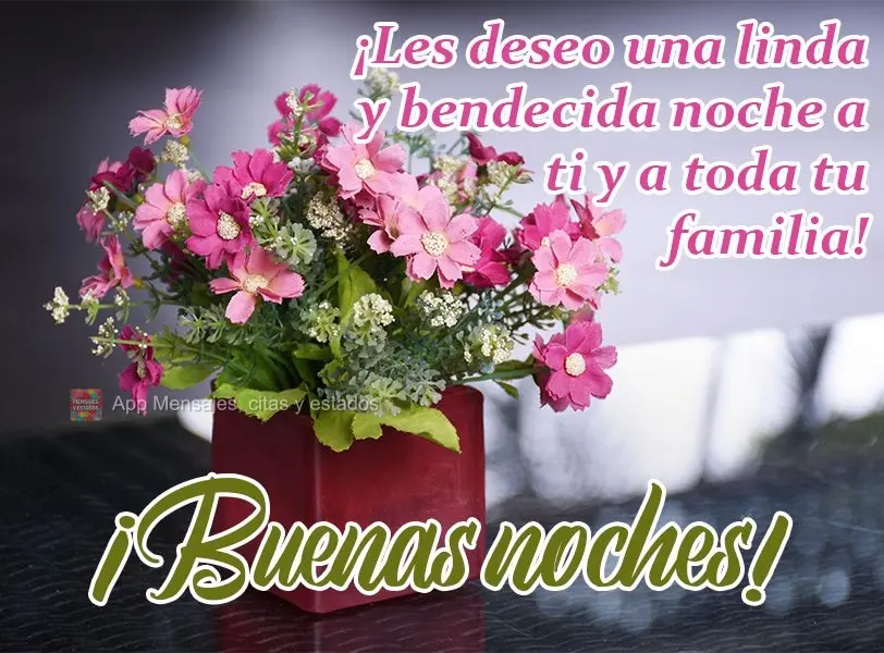 Desejo uma linda e abençoada noite a você e toda a sua família!  Boa noite!