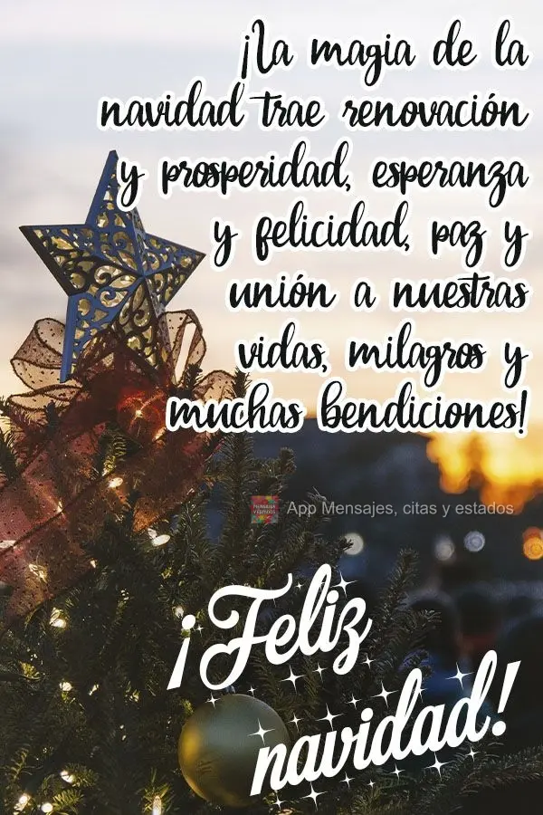 ¡La magia de la navidad trae renovación y prosperidad, esperanza y felicidad, paz y unión a nuestras vidas, milagros y muchas bendiciones! ¡Feliz nav...