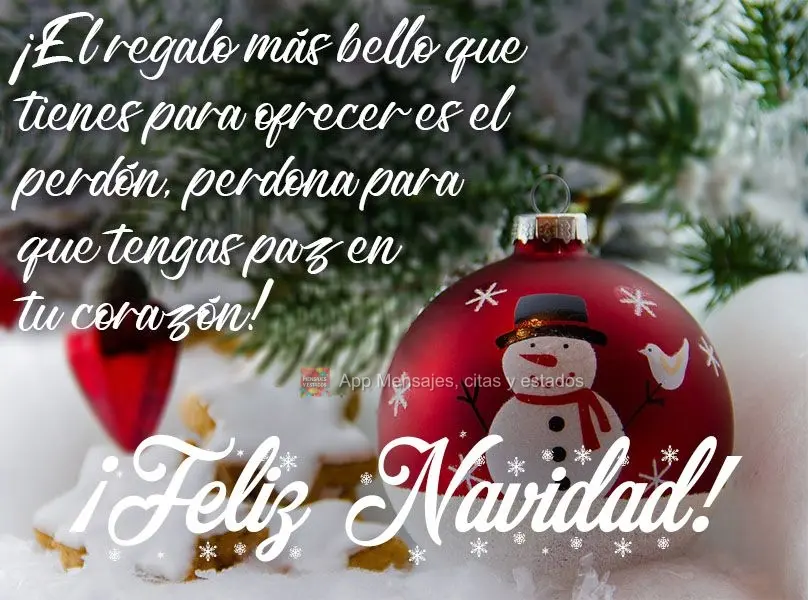 Que o presente mais belo que tens a oferecer seja o perdão. Perdoe para que tenha paz em seu coração!  Feliz Natal!