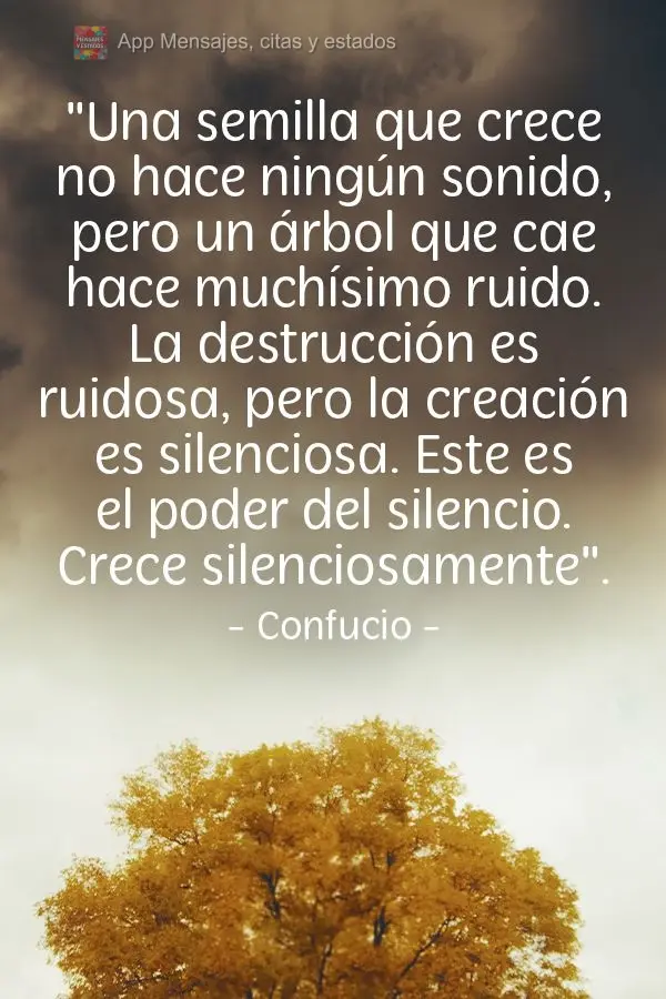 Uma semente cresce sem som, mas uma árvore cai com ruído enorme. A destruição tem ruído, mas a criação é silenciosa. Esse é o poder do silêncio...