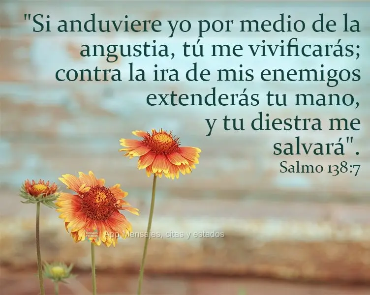 "Si anduviere yo por medio de la angustia, tú me vivificarás; contra la ira de mis enemigos extenderás tu mano, y tu diestra me salvará". Salmo 138:7...