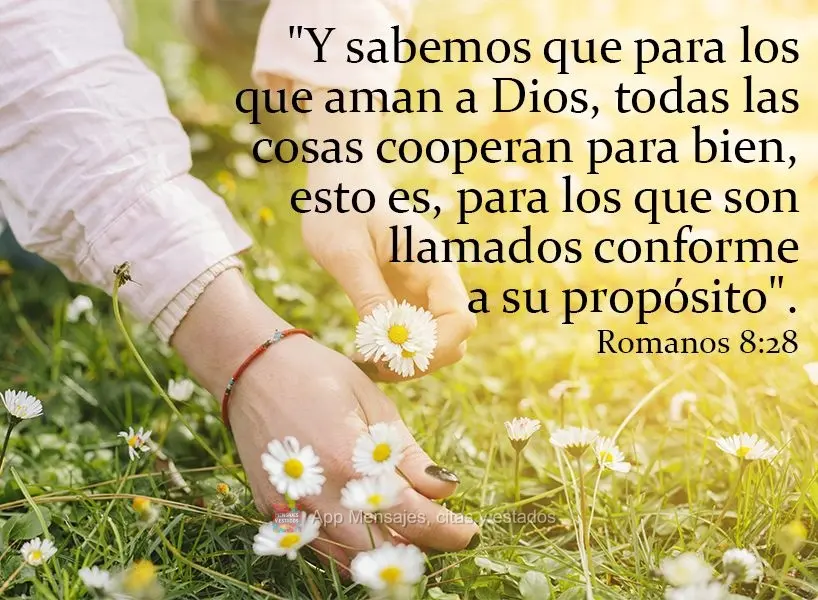 "Y sabemos que para los que aman a Dios, todas las cosas cooperan para bien, esto es, para los que son llamados conforme a su propósito".  Romanos 8:28...