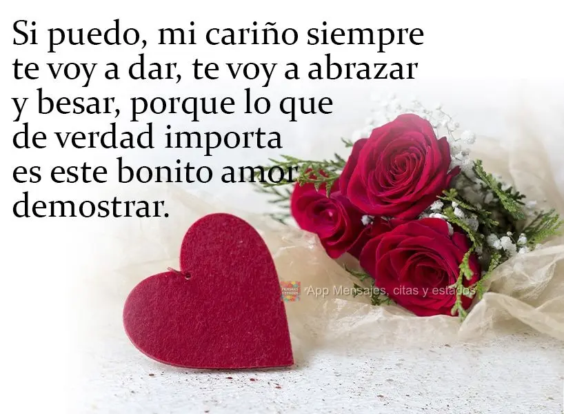 Si puedo, mi cariño siempre te voy a dar, te voy a abrazar y besar, porque lo que de verdad importa es este bonito amor demostrar.