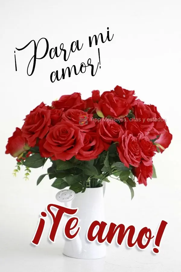 Para o meu amor!  Te amo!