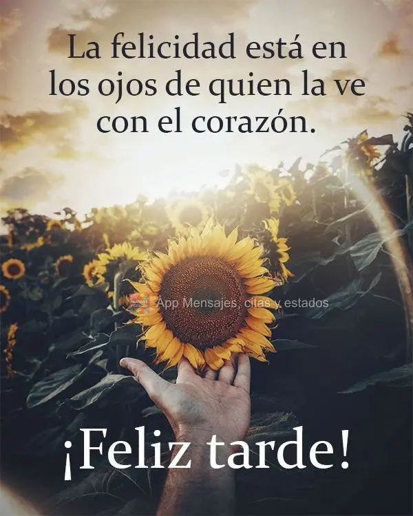 La felicidad está en los ojos de quien la ve con el corazón. ¡Feliz tarde!