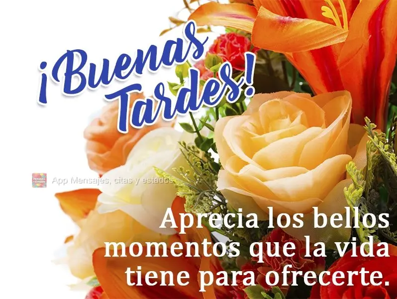 Aprecie os belos momentos que a vida tem a oferecer!  Boa tarde!