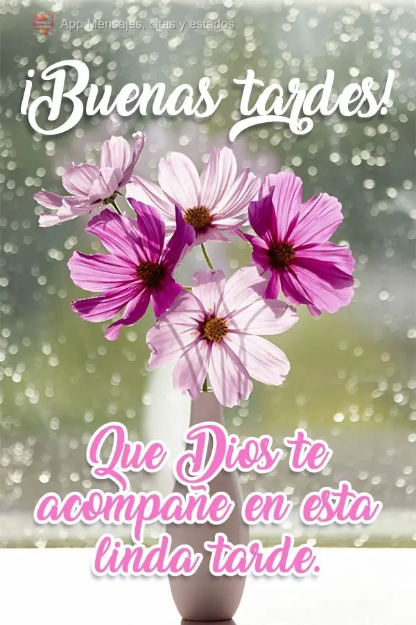 Que Deus te acompanhe nesta linda tarde!  Boa tarde!