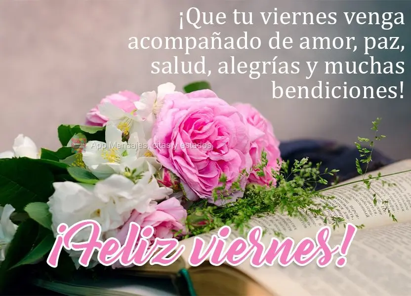 ¡Que tu viernes venga acompañado de amor, paz, salud, alegrías y muchas bendiciones! ¡Feliz viernes!
