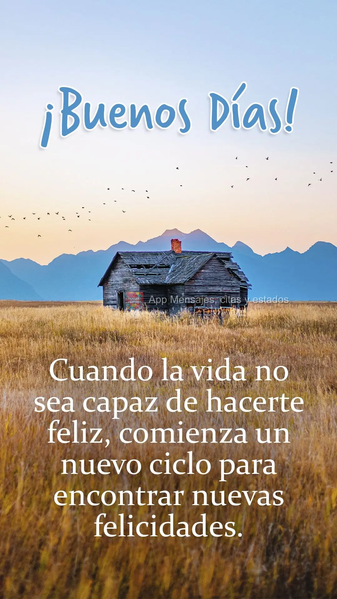 Cuando la vida no sea capaz de hacerte feliz, comienza un nuevo ciclo para encontrar nuevas felicidades. ¡Buenos días!