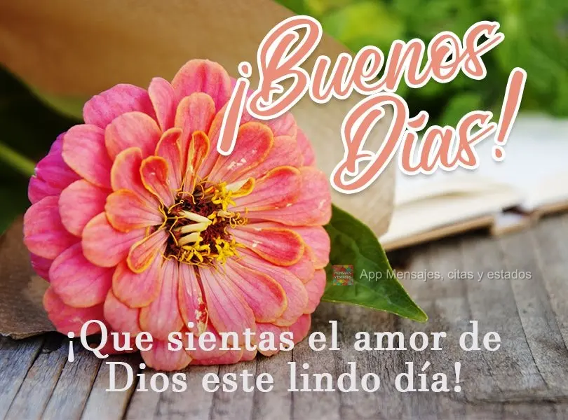 Que você sinta o amor de Deus neste lindo dia!  Bom dia!