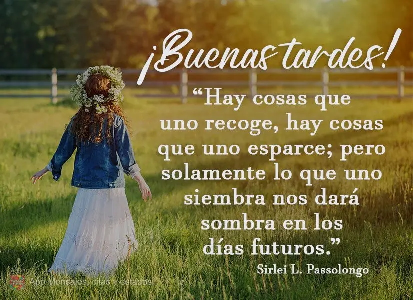 Tem coisas que a gente junta, tem coisas que a gente espalha. Mas somente o que a gente planta nos dará sombra dos dias seguintes. Boa tarde! Sirlei L. ...