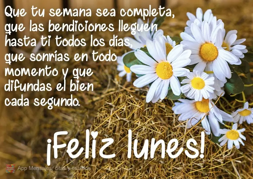 Que tu semana sea completa, que las bendiciones lleguen hasta ti todos los días, que sonrías en todo momento y que difundas el bien cada segundo. ¡Fel...