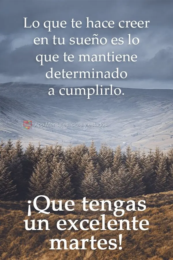 Lo que te hace creer en tu sueño es lo que te mantiene determinado a cumplirlo. ¡Que tengas un excelente martes!