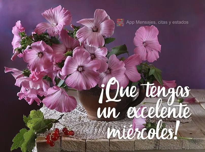 Excelente Quarta-feira pra você!