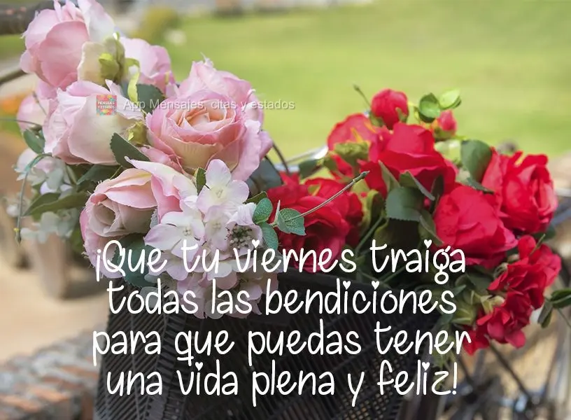 Que a sua Sexta-feira venha com todas as bênçãos para se ter uma vida plena e feliz!