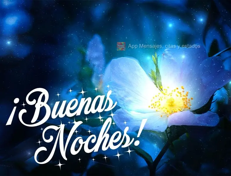 ¡Buenas noches!