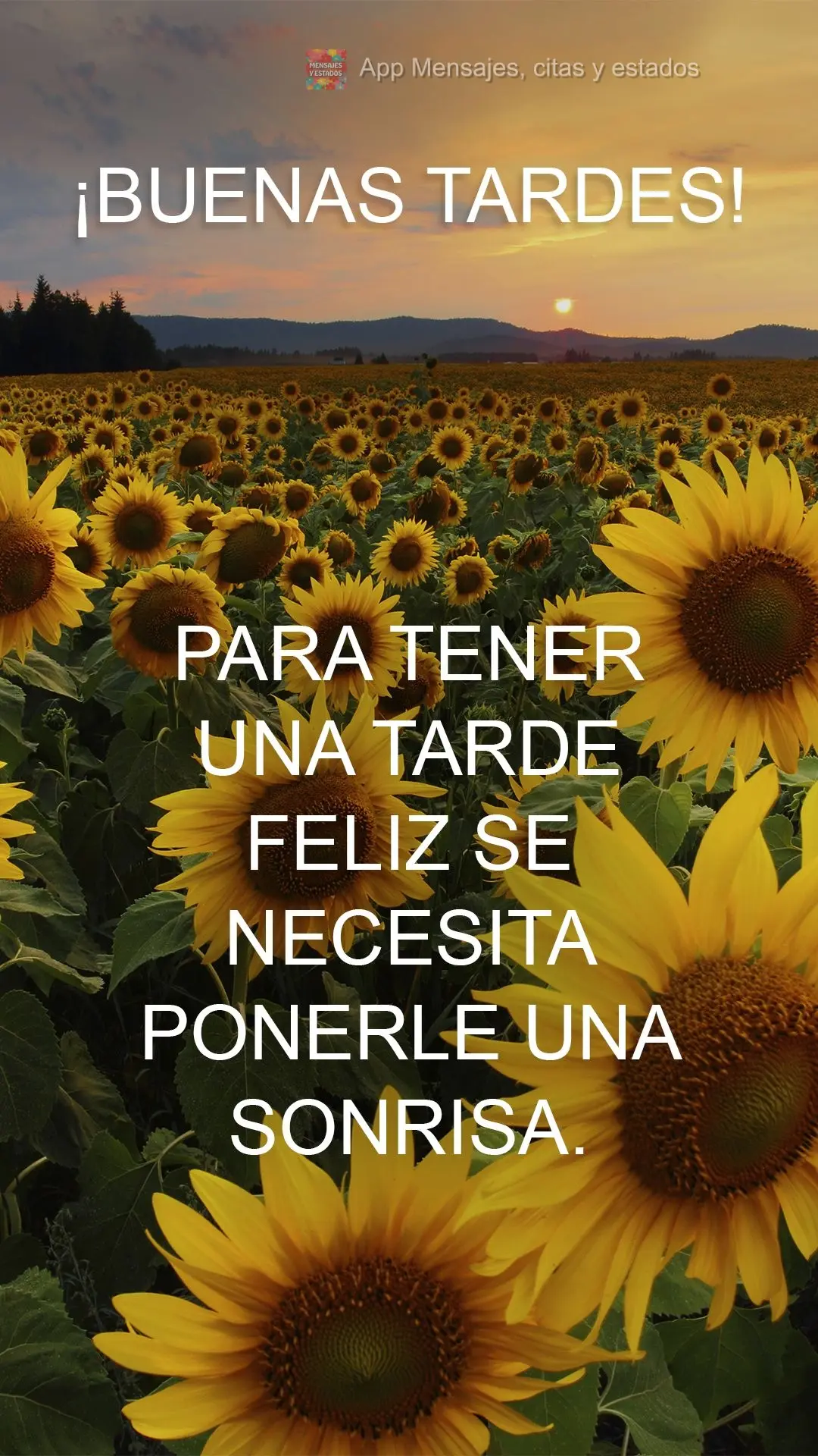 Para tener una tarde feliz se necesita ponerle una sonrisa. ¡Buenas tardes!