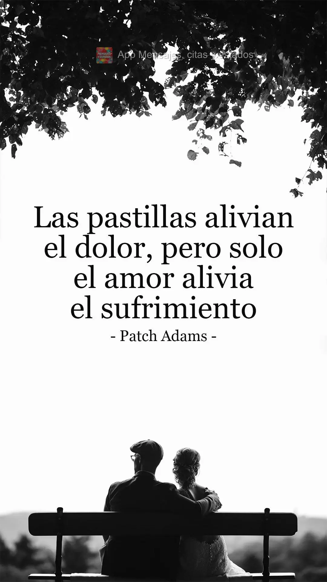Las pastillas alivian el dolor, pero solo el amor alivia el sufrimiento Patch Adams