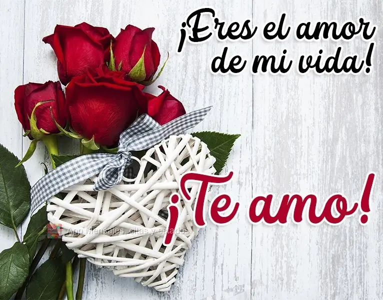 ¡Eres el amor de mi vida! ¡Te amo!