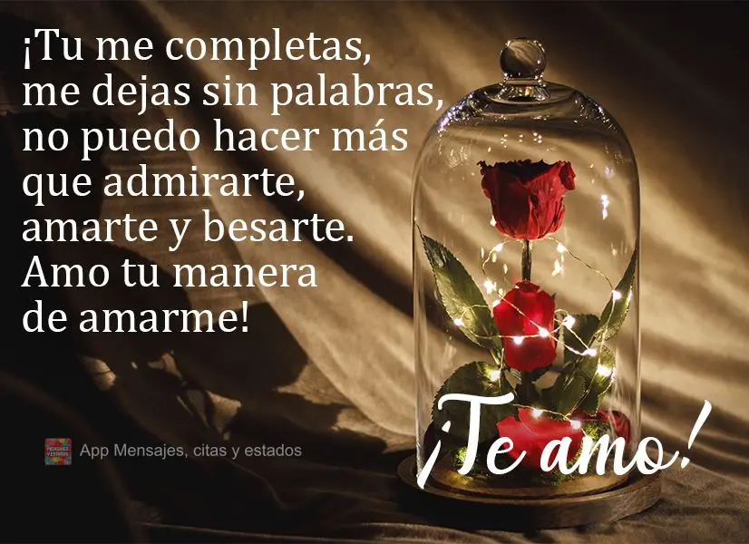 Você me completa. Você me deixa sem palavras. Só consigo te admirar, te amar e te beijar. Amo esse seu jeito, esse seu lindo jeito de me amar!  Eu te ...