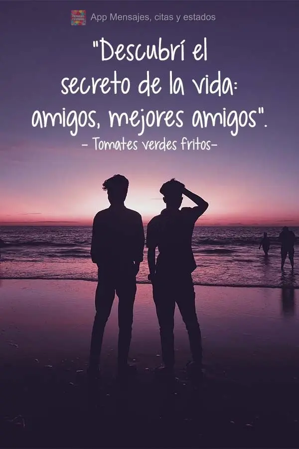 Eu descobri o segredo da vida: amigos...Melhores amigos! Tomates Verdes Fritos