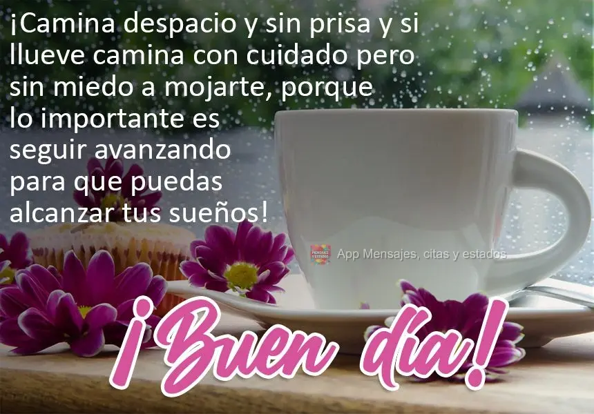 Ande devagar, sem pressa de chegar. Na chuva ande com cautela mas sem medo de se molhar. Porque o importante é seguir em frente para o seu destino alcan...