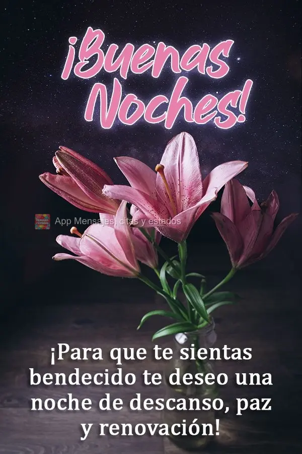 Para que você se sinta abençoado, desejo uma noite de descanso, paz e renovação!  Boa noite!