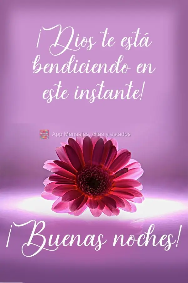 Deus está te abençoando neste exato momento!  Boa noite!