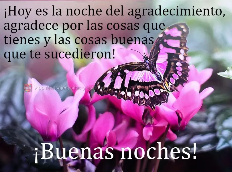 ¡Hoy es la noche del agradecimiento, agradece por las cosas que tienes y las cosas buenas que te sucedieron! ¡Buenas noches!