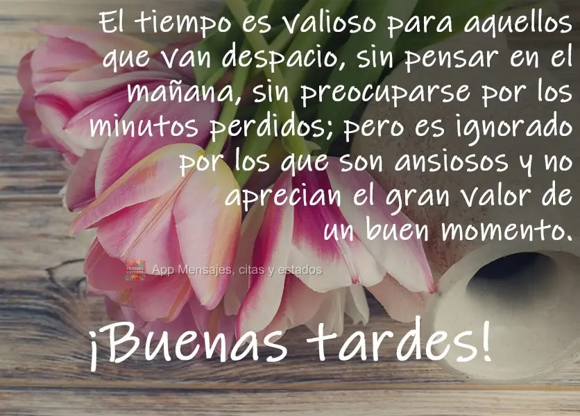El tiempo es valioso para aquellos que van despacio, sin pensar en el mañana, sin preocuparse por los minutos perdidos; pero es ignorado por los que son...