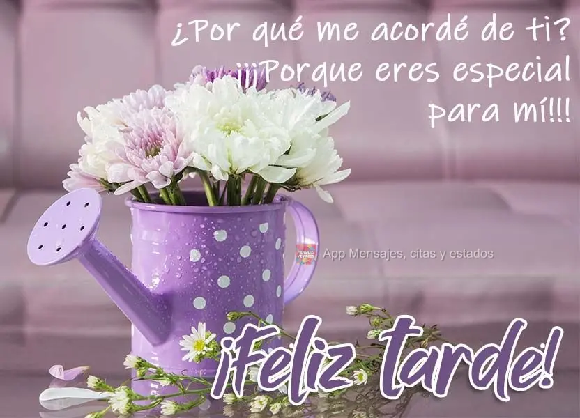 Porque lembrei de você? Porque é especial para mim!!!  Boa tarde!