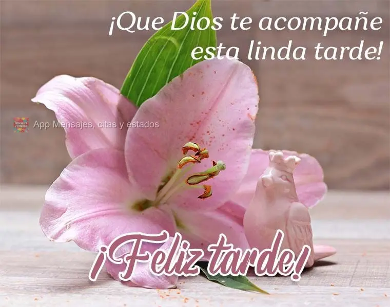 ¡Que Dios te acompañe esta linda tarde! ¡Feliz tarde!
