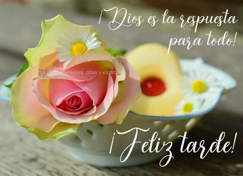 Deus é a resposta pra tudo!  Boa tarde!