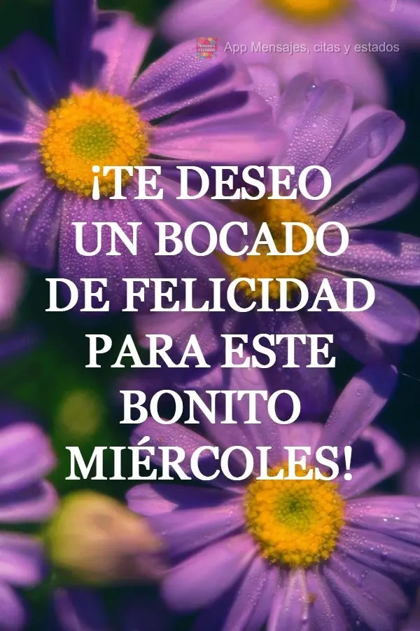 ¡Te deseo un bocado de felicidad para este bonito miércoles!