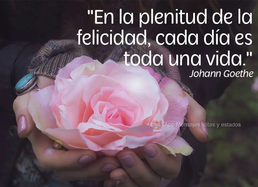 Na plenitude da felicidade, cada dia é uma vida inteira.  Johann Goethe