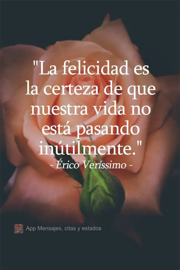 Felicidade é a certeza de que a nossa vida não está se passando inutilmente. Érico Veríssimo