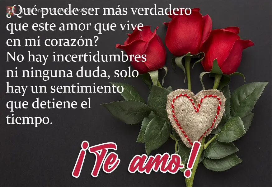 ¿Qué puede ser más verdadero que este amor que vive en mi corazón? No hay incertidumbres ni ninguna duda, solo hay un sentimiento que detiene el tiem...