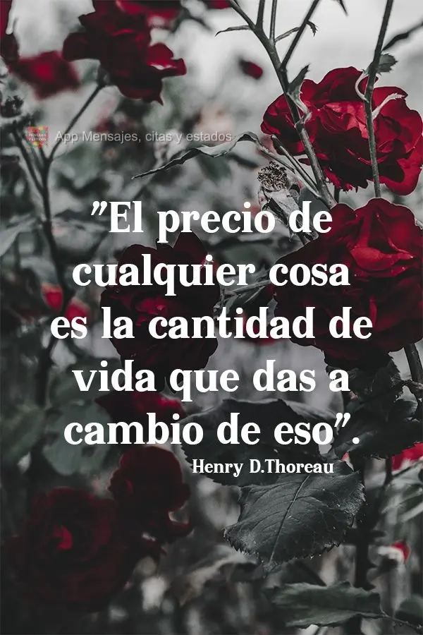 "El precio de cualquier cosa es la cantidad de vida que das a cambio de eso". Henry David Thoreau