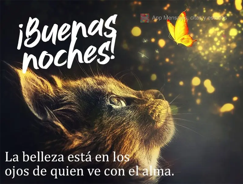 A beleza está nos olhos de quem a enxerga com a alma! Boa noite! 