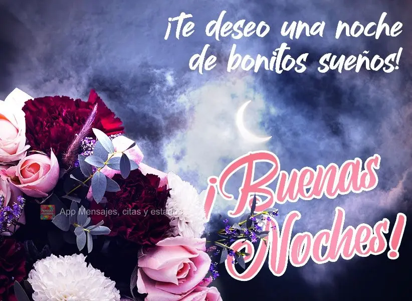 Desejo uma noite de lindos sonhos! Boa noite! 