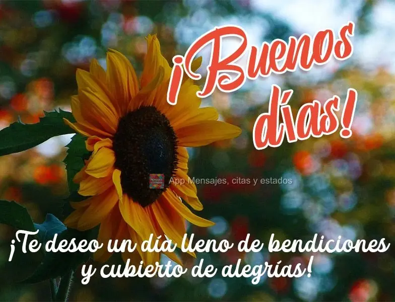 Desejo um dia recheado de bênçãos e coberto de alegrias!  Bom dia!