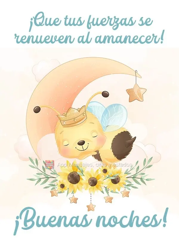 Que tua força se renove ao amanhecer!  Boa noite!