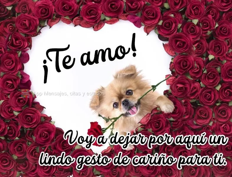 Voy a dejar por aquí un lindo gesto de cariño para ti. ¡Te amo!