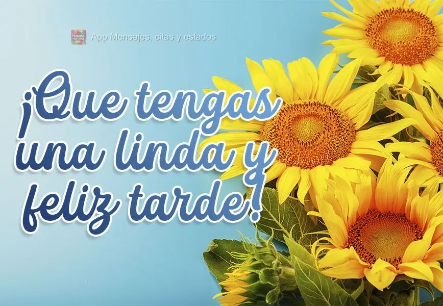 Tenha uma linda e feliz tarde!