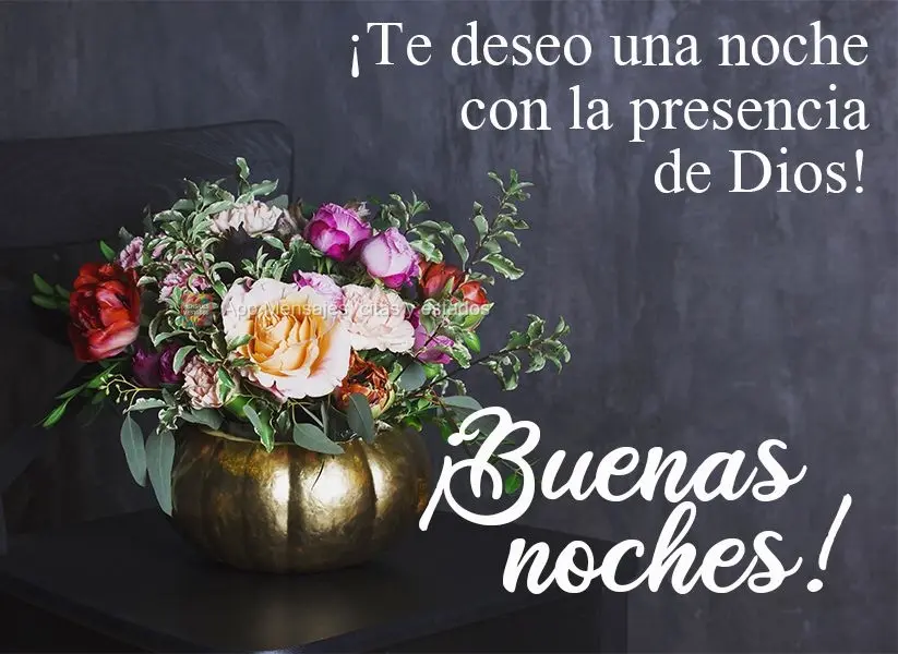 ¡Te deseo una noche con la presencia de Dios! ¡Buenas noches!