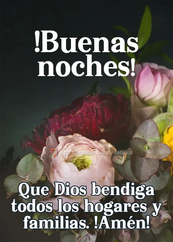 Que Dios bendiga todos los hogares y familias. ¡Amén! ¡Buenas noches!