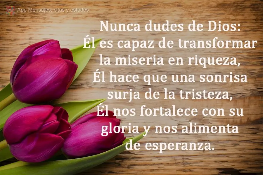Nunca dudes de Dios: Él es capaz de transformar la miseria en riqueza, Él hace que una sonrisa surja de la tristeza, Él nos fortalece con su gloria y ...