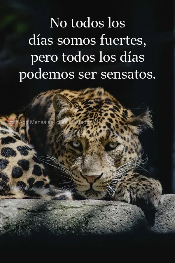 No todos los días somos fuertes, pero todos los días podemos ser sensatos.